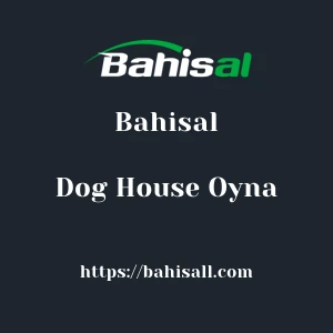 Bahisal Dog House Oyna